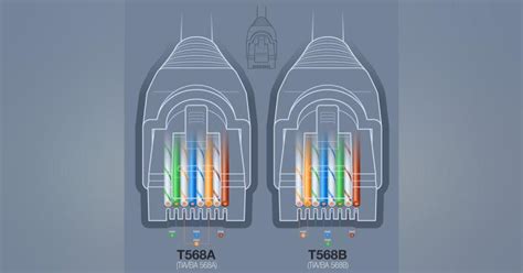 rj45 color code|RJ45 Color Codes and Everything Else You Need to Know.